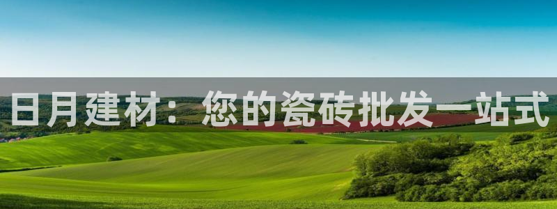 杏鑫平台代理注册流程