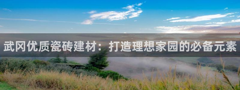 杏鑫平台代理怎么样啊