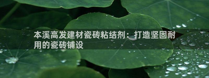 杏鑫注册平台官方网站入口