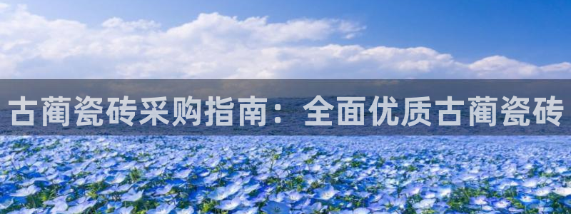 杏鑫注册登录代理