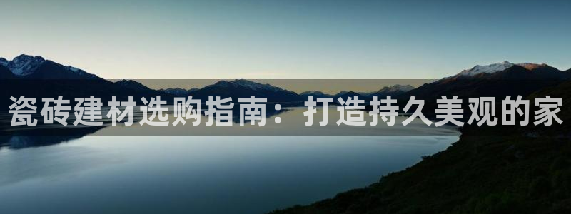 杏鑫招商总代