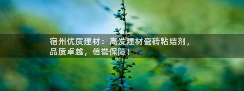 杏鑫手机客户端