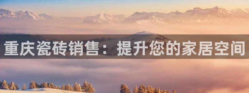 杏鑫官网注册账号是什么意思