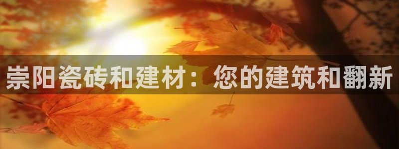 杏鑫代理注册登录