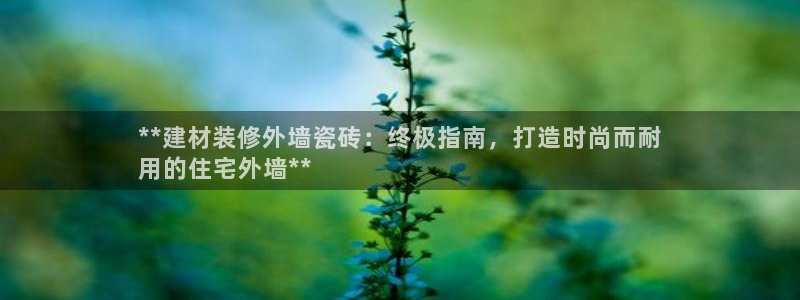杏鑫娱乐开发团队