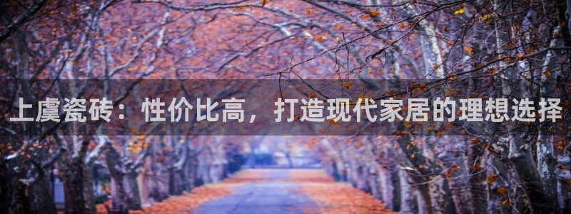 杏鑫官网注册账号是什么样的