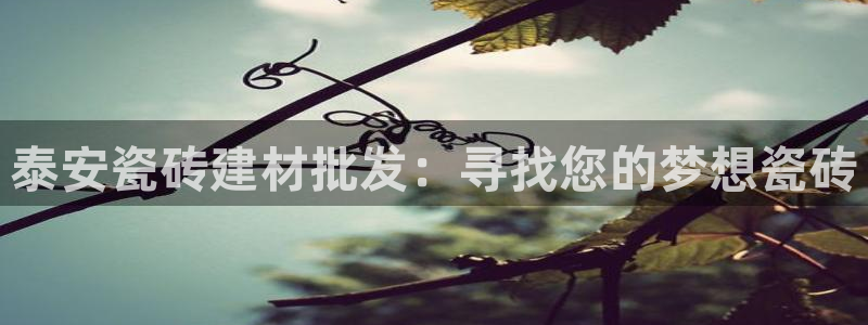 杏鑫平台是黑平台吗