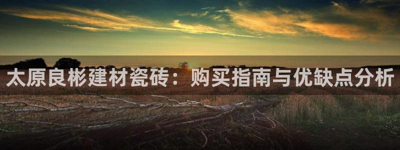 杏鑫平台注册入口