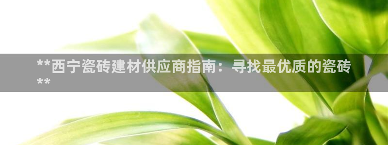 杏鑫平台代理