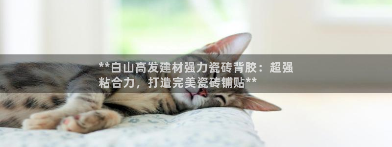 杏鑫官网注册账号是什么