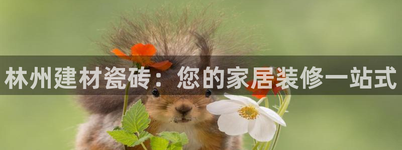 杏鑫平台在线注册