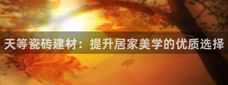 杏鑫注册登录代理