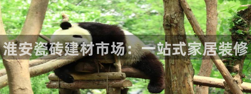 杏鑫平台提供