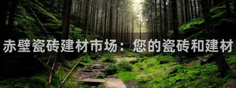 杏鑫娱乐平台登录注册网站