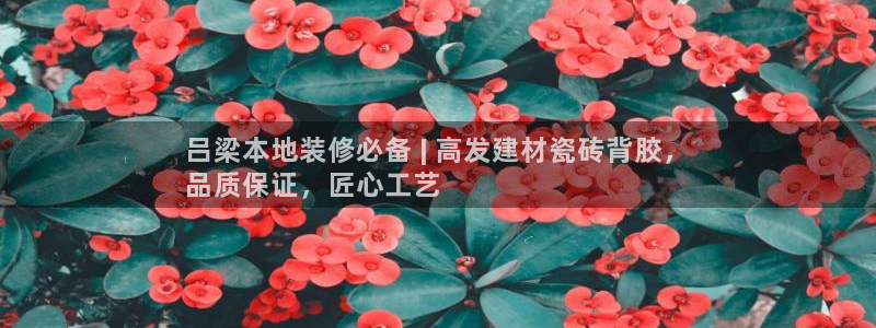 杏鑫平台号7O777