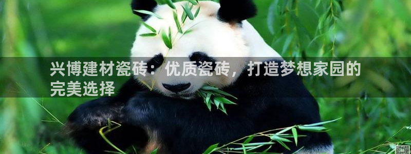 杏鑫平台注册地址在哪里