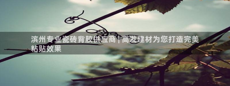 杏鑫平台线路测速