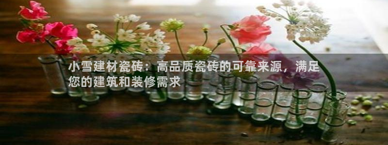 杏鑫主管