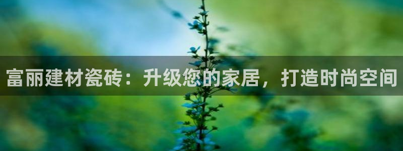 杏鑫平台招商电话号码是多少