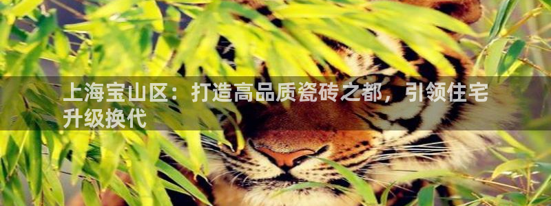 杏鑫平台正规吗是真的吗