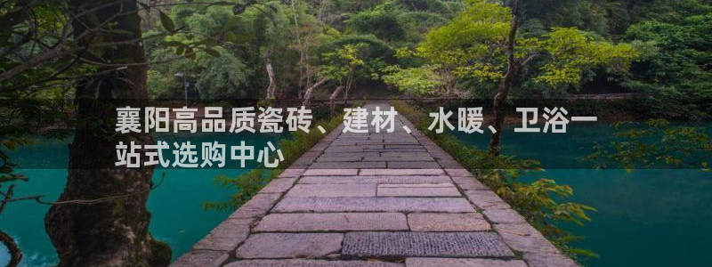 杏鑫主管