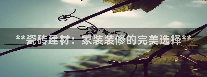 杏鑫平台注册地址是哪里