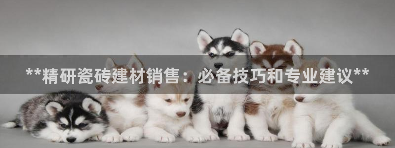 杏鑫娱乐怎么下