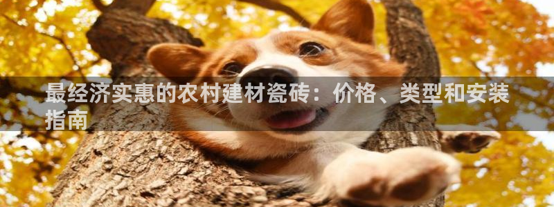 杏鑫平台平台