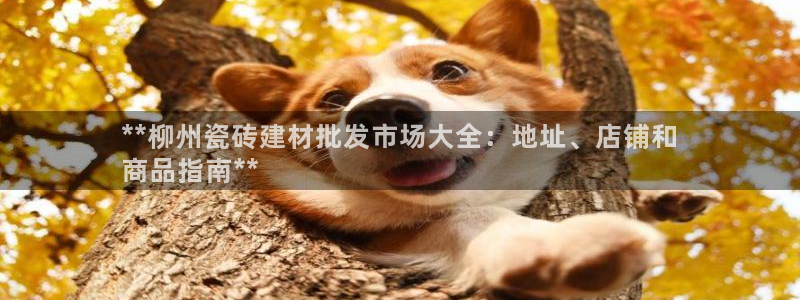 杏鑫平台是黑平台吗是真的吗