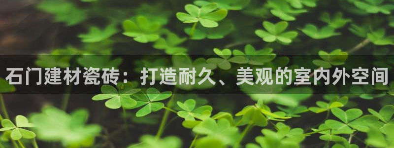 杏鑫平台注册网址查询