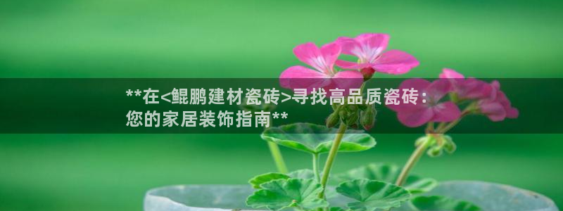 杏鑫注册登录代理公司