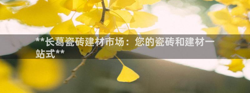 杏鑫平台注册网址查询