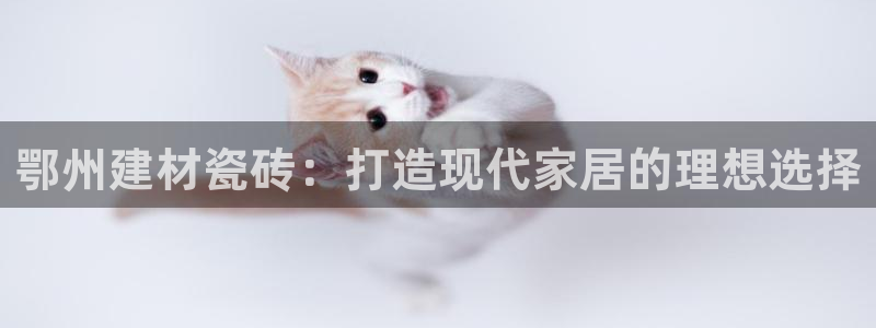 杏鑫平台代理怎么样
