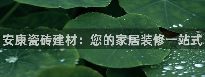 杏鑫平台官方网站