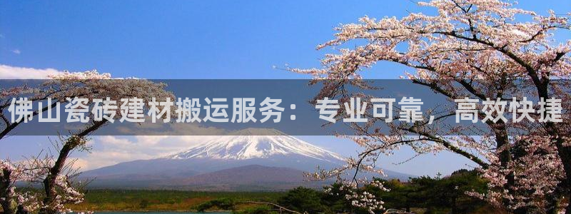 杏鑫官网注册账号怎么注册的