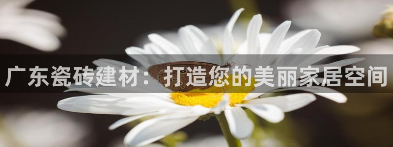杏鑫娱乐多少年了