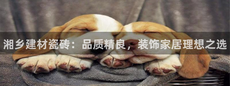 杏鑫娱乐官网首页