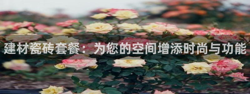 杏鑫平台代理怎么样