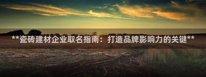 杏鑫平台代理注册流程视频