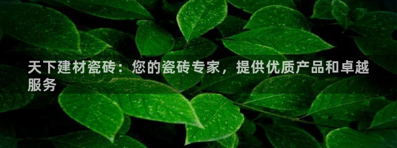 杏鑫平台是黑平台吗