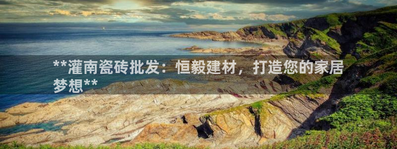 杏鑫平台代理注册流程图