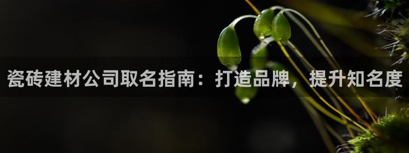 杏鑫平台怎么样黑钱吗安全吗是真的吗
