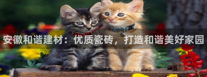 杏鑫娱乐怎么下