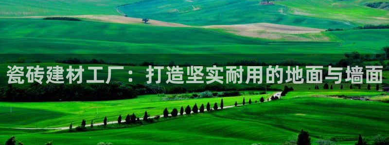 杏鑫平台怎么样知乎