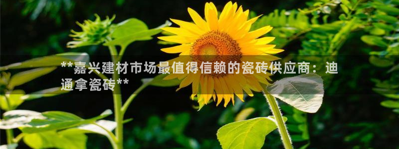 杏鑫娱乐官方网站客户端下载