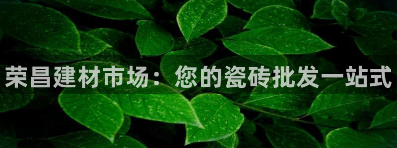 杏鑫官网注册账号是什么