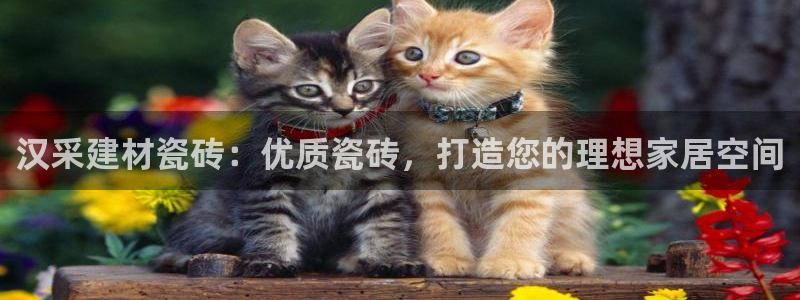 杏鑫平台招商电话是多少