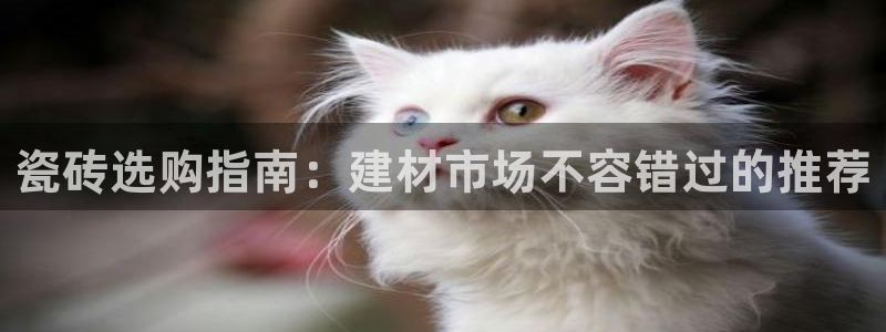 杏鑫平台招商电话号码是多少