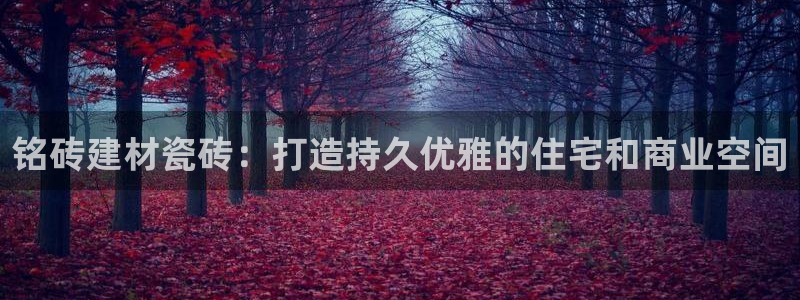 杏鑫平台注册地址在哪里