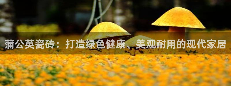 杏鑫平台测速